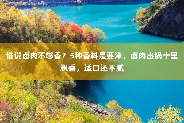 谁说卤肉不够香？5种香料是要津，卤肉出锅十里飘香，适口还不腻