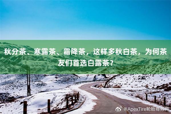 秋分茶、寒露茶、霜降茶，这样多秋白茶，为何茶友们首选白露茶？