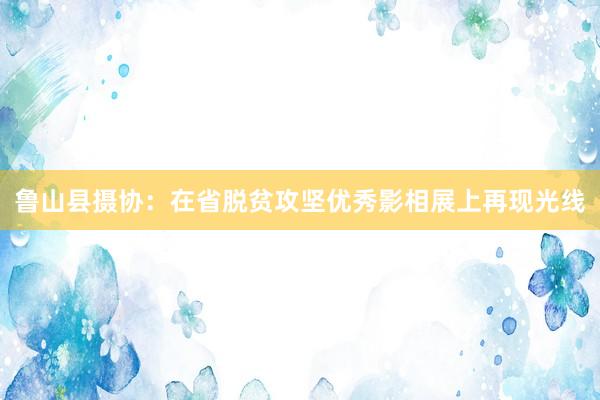 鲁山县摄协：在省脱贫攻坚优秀影相展上再现光线