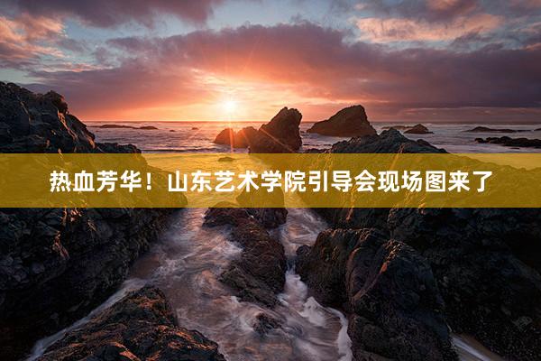 热血芳华！山东艺术学院引导会现场图来了