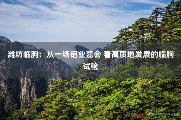 潍坊临朐：从一场铝业嘉会 看高质地发展的临朐试验