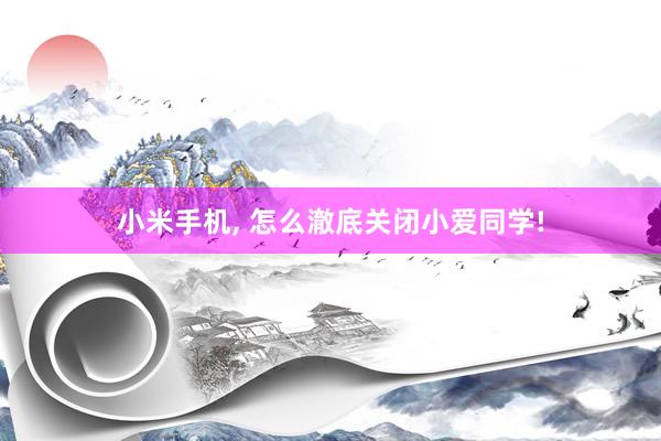 小米手机, 怎么澈底关闭小爱同学!