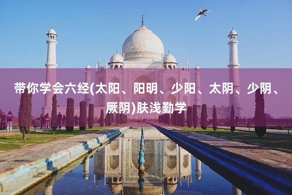 带你学会六经(太阳、阳明、少阳、太阴、少阴、厥阴)肤浅勤学